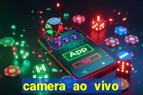 camera ao vivo terminal vila nova cachoeirinha